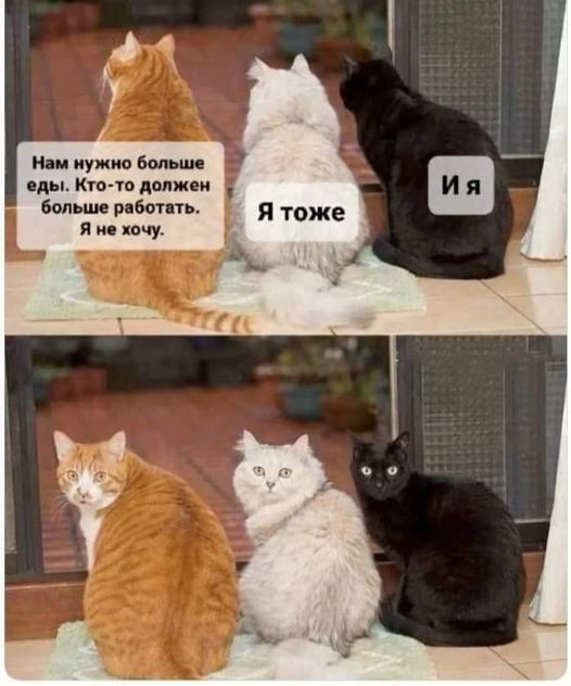 Всего понемногу. От 25.02.24