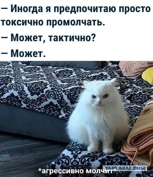 У нас в Новосибирске состоялся самый честный конкурс