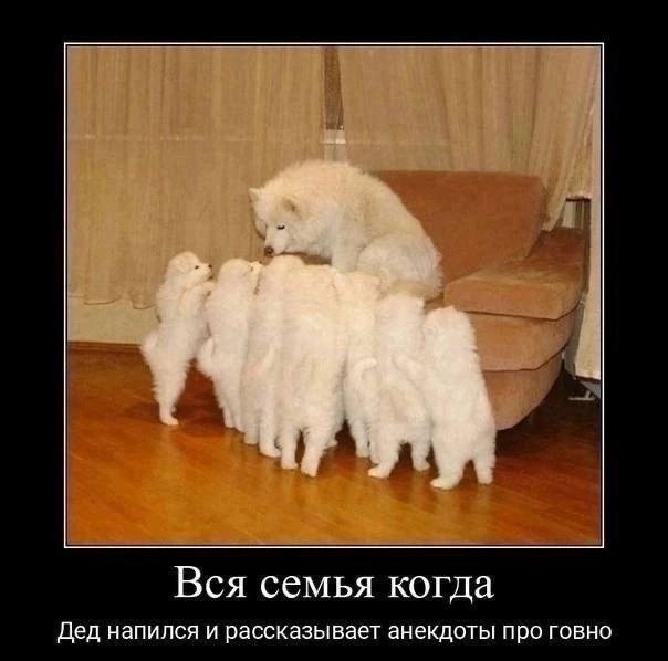 Весёлый полтишок 04.06.2025
