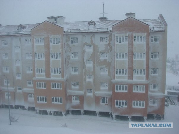 Лето пахнет льдом