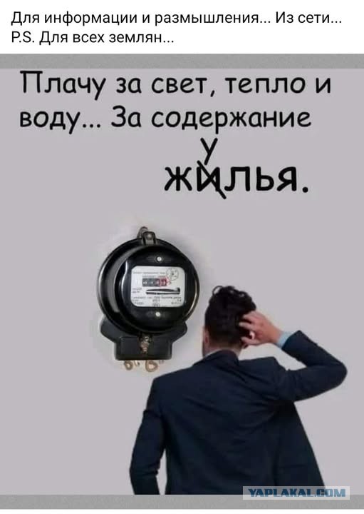 Веселые картинки в маленькую пятницу (12.11)