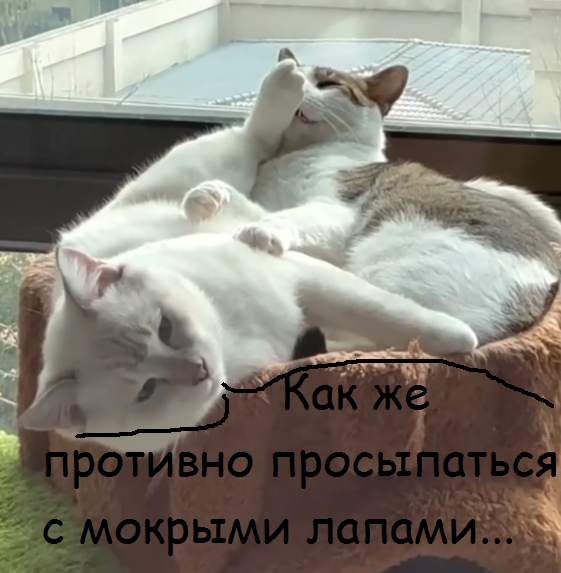 Субботнее утро