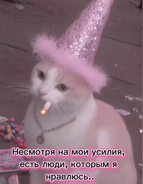 Так себе картинки 29.01.26
