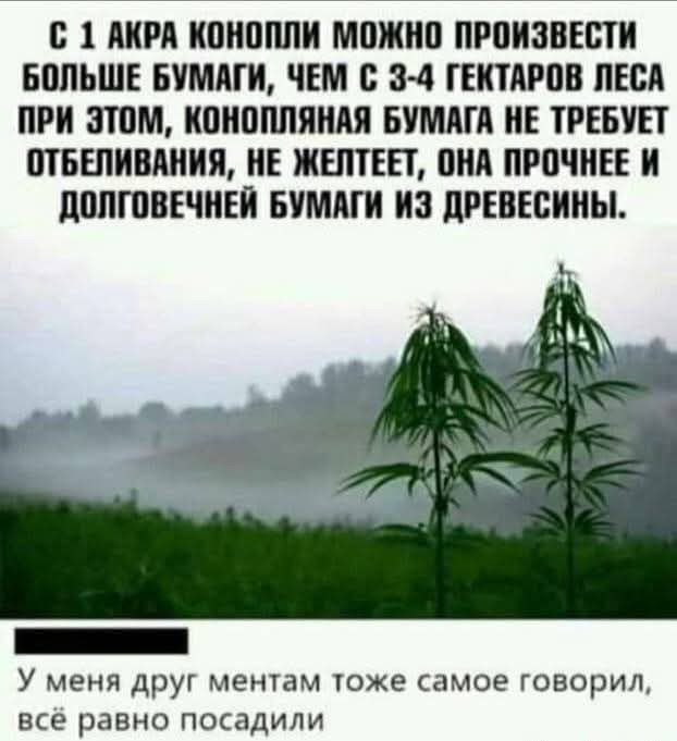 Воскресные картинки
