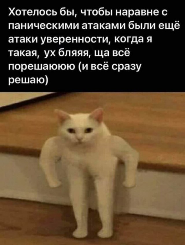 Картинки для деградации 279 (разной степени свежести)