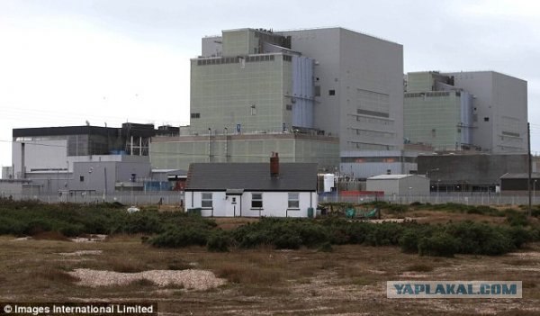 Домик в "заповеднике" (9 фото)