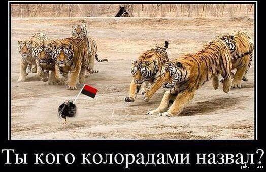 Смешные картинки