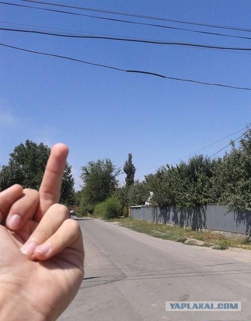 Прикольные картинки