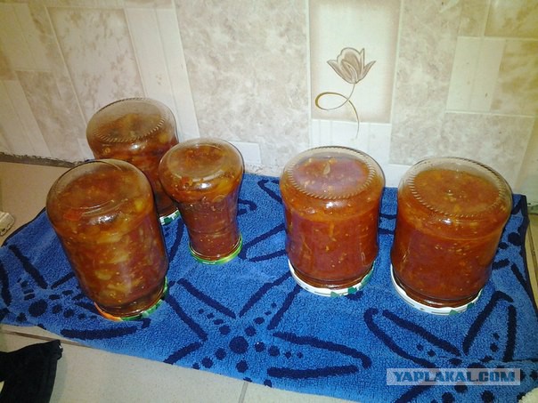 Закрутки на зиму глазами внука. 37 фото+комменты