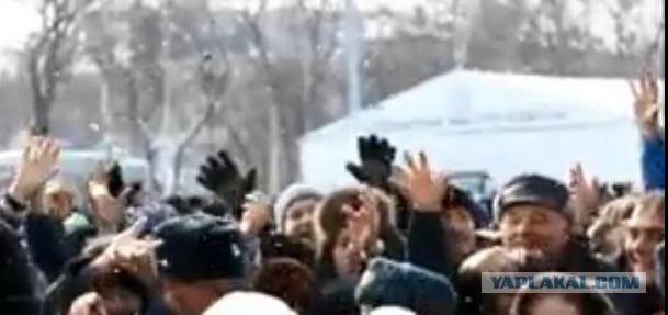 8 марта в Тюмени. Животные.