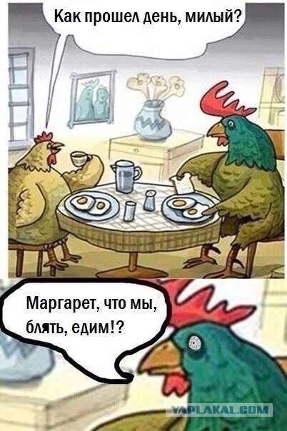 Подборка баянов.