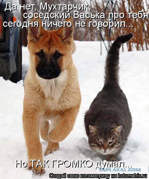 Собакочетверг 17.09.2015