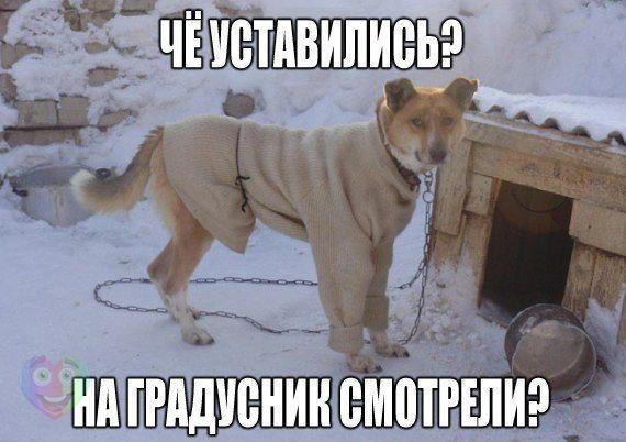 А давайте улыбнёмся