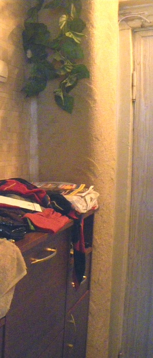 Кошкин дом - он такой