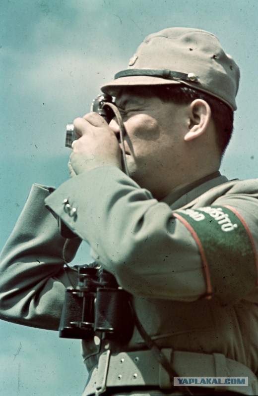 Украина 1942 год