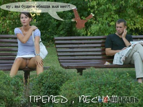 Превед медвед!