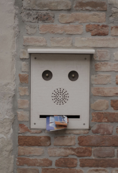 Они живые. Они смотрят на нас!