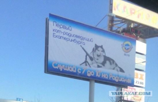 Люди из социальных сетей