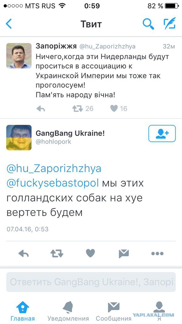 Голландцы отпраздновали итоги референдума об отказе Украине в ЕС