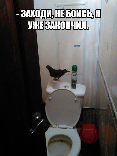 Ужасы и приколы из соцсетей