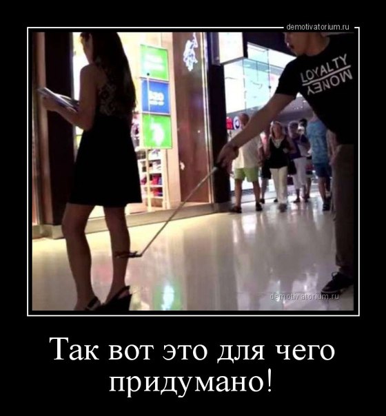 Подборка интересных и веселых фото