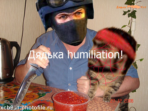 Фотожаба: Правильное питание для кота