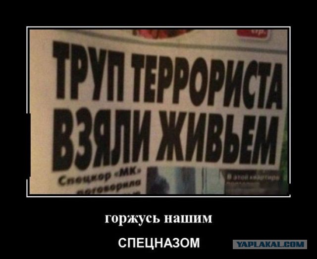 Весёлые картинки 23.11.2016