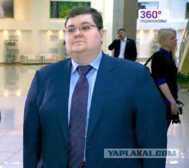 Чайка предложил не наказывать организации, признавшиеся в коррупции