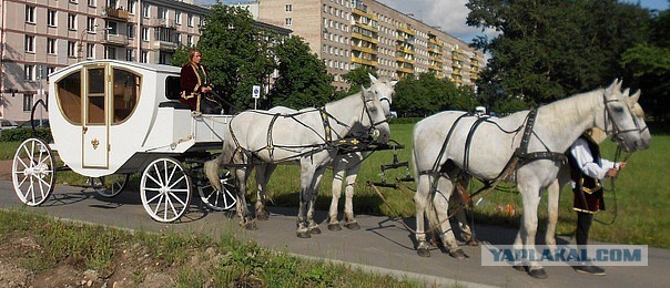 Так жить нельзя: король Рязани