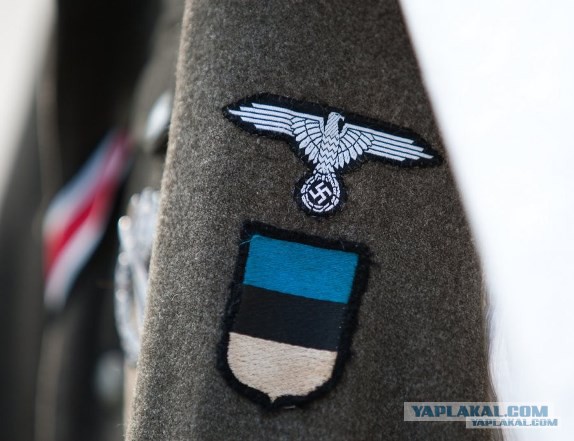В Эстонии обнаружили останки девятерых красноармейцев