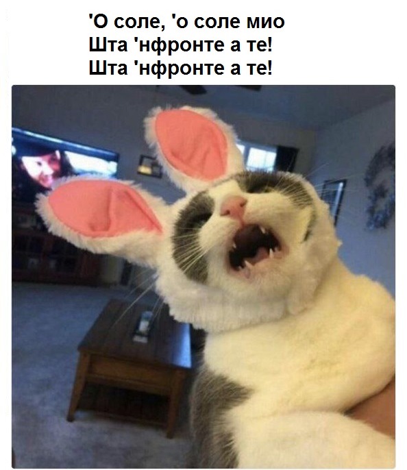 Подборка интересных и веселых картинок