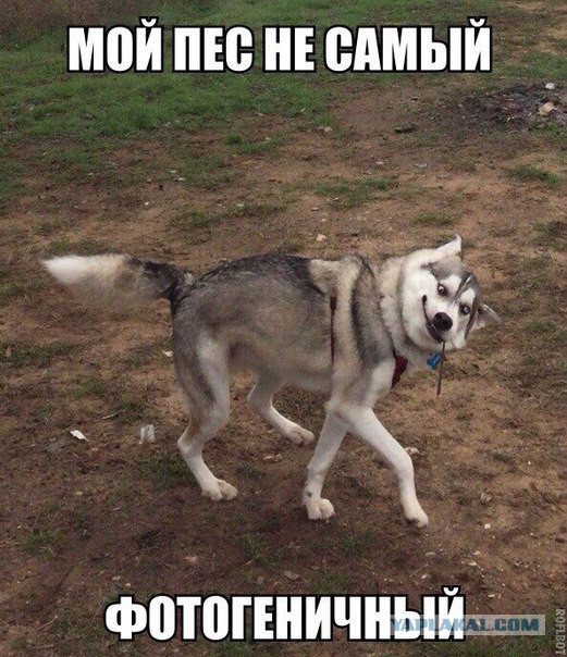 Смешные комментарии из социальных сетей 08.09.2017