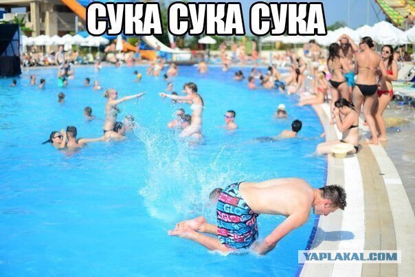 Прикольные картинки абавсём