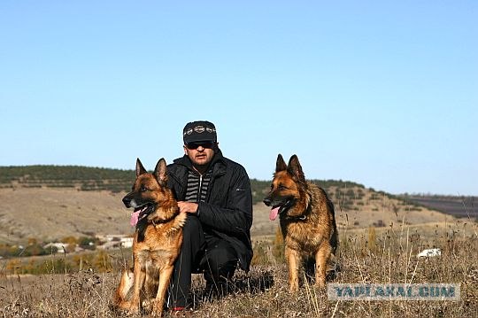 Что выросло, то выросло. Собакочетверг!