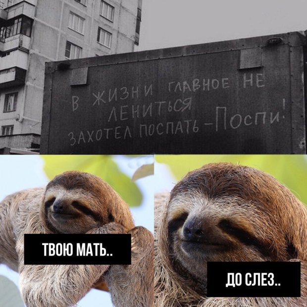 Анекдоты, соц-сети, истории и картинки с надписями