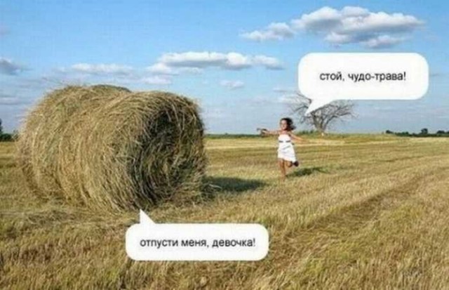 Подеградируем?