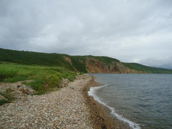 Если нет разницы, зачем платить больше?