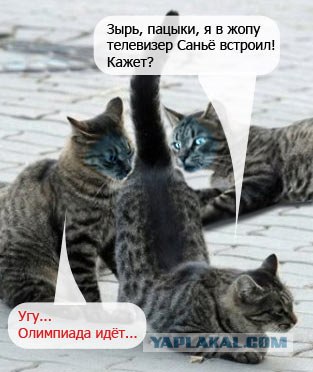 Подпиши фото!