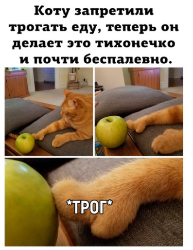Чуток картинок 10.07.20