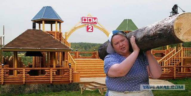 фотожаба: с бревном
