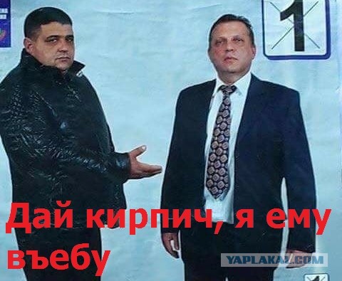 Кандидаты на выборах в Болгарии.