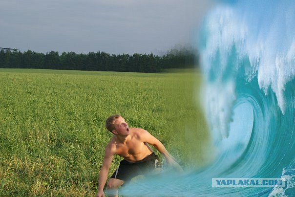 Фотожаба: Страх в глазах