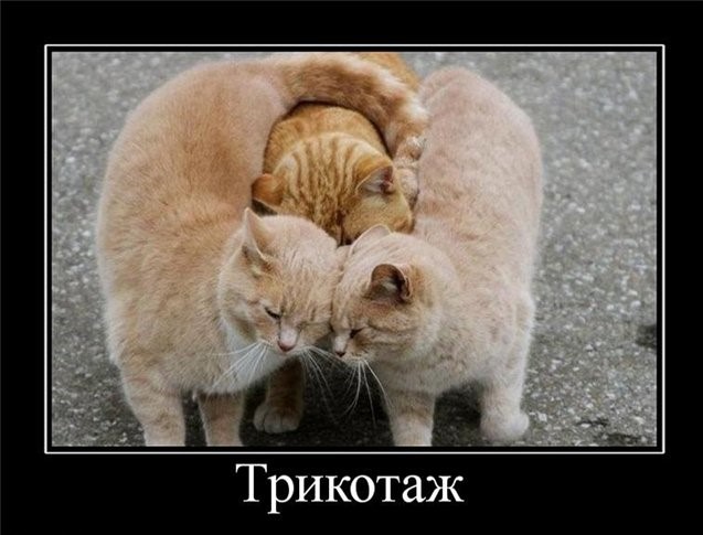 Бредзона 06.02.21