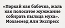 Порхать как бабочка,жалить как оса .М.Али