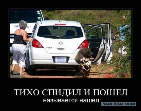 Сперли прямо на глазах