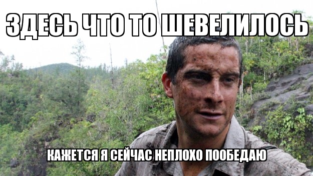 Весёлый полтишок 16.03