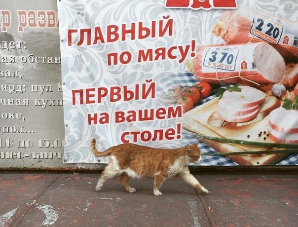 Картинки на вчера