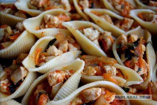 Макаронные ракушки