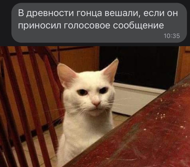 Всякой Хни вам в ленту, дорогие деграданты...
