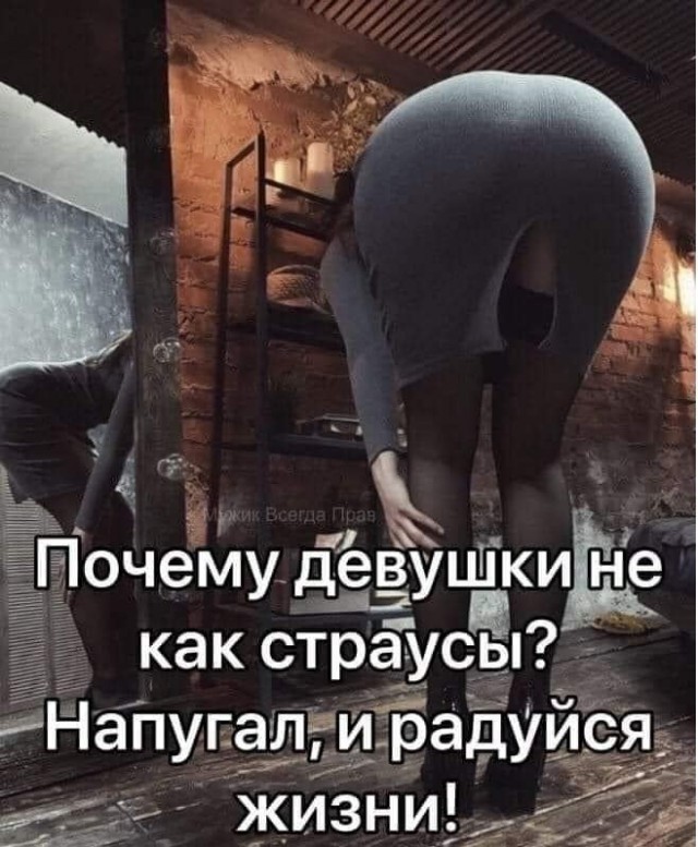 Картинки и мемы - "Жить, как говорится, хорошо..."